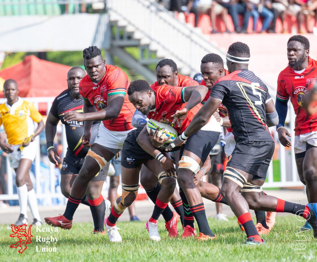 How to read and interpret rugby odds